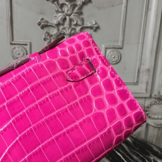 replica hermes Kelly Cut bag106