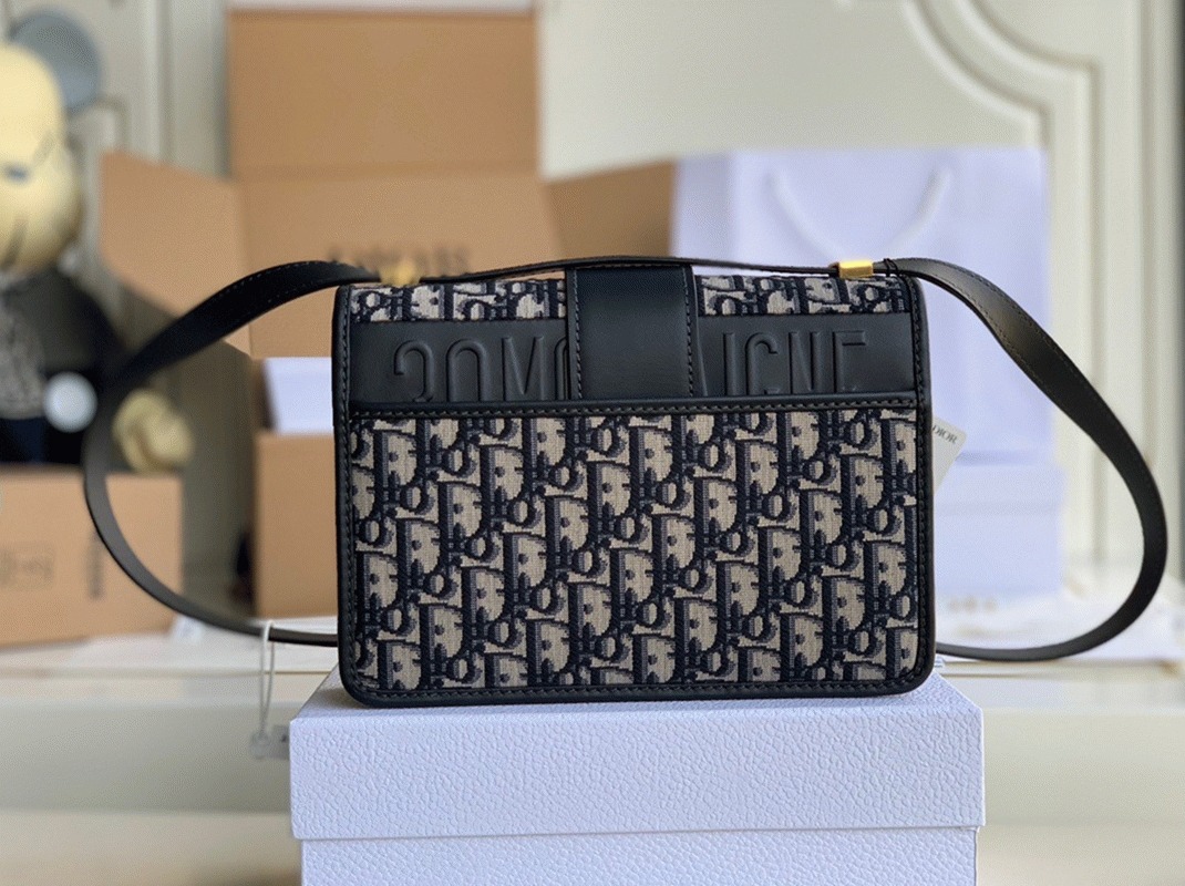 replica Dior bag 452