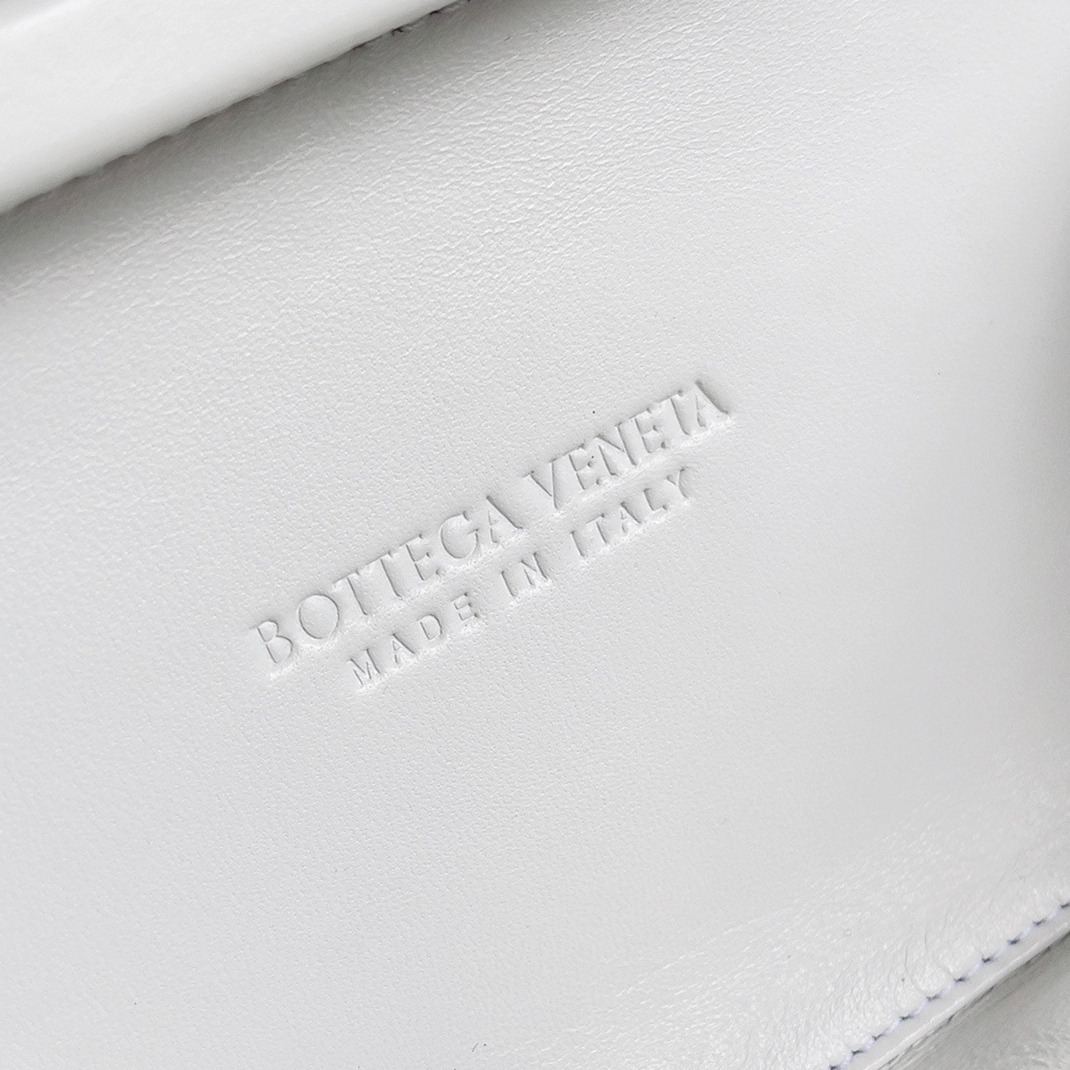 replica Bottega Veneta bag 02